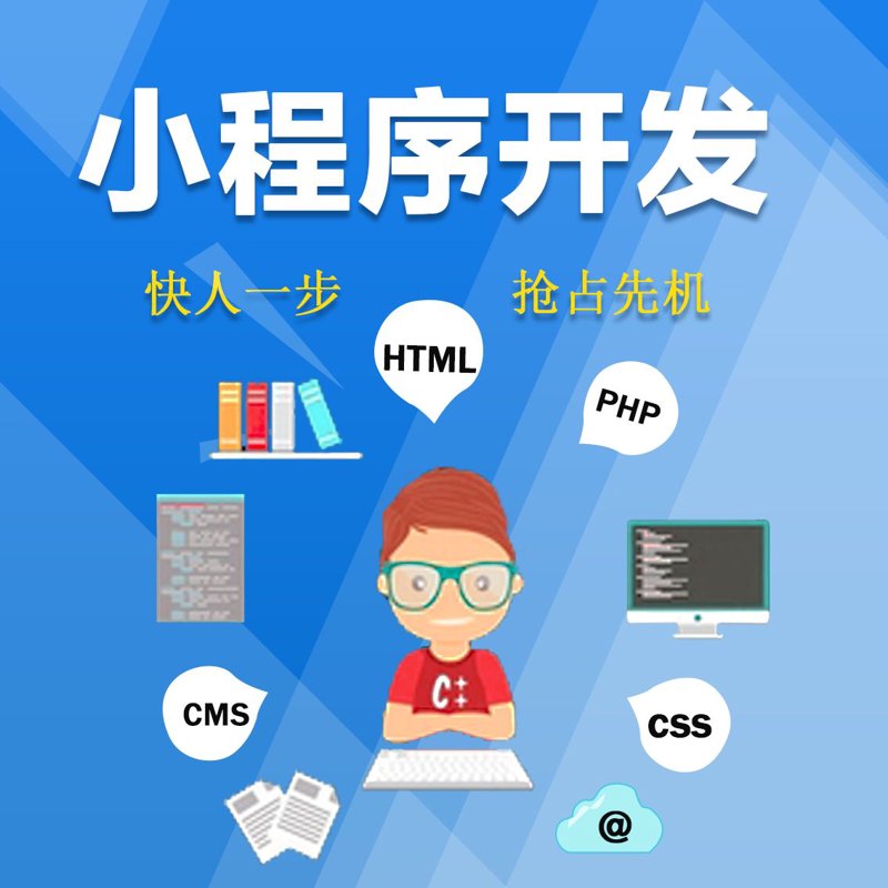 微信小程序定制选购指南